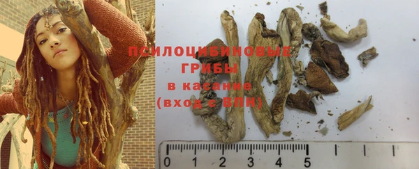 PSILOCYBIN Остров